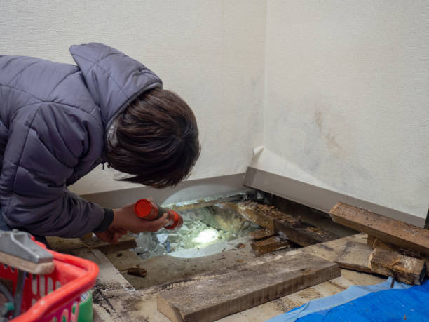 Mold Removal for HVAC Installations in Hauser, ID