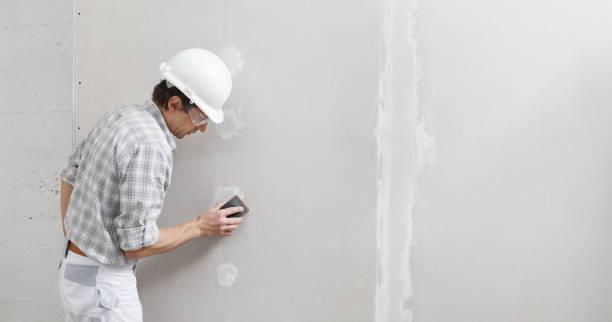 Best Mold Damage Restoration  in Hauser, ID
