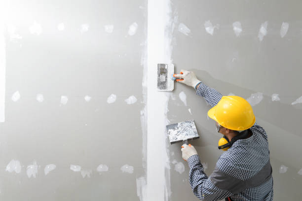 Trusted Hauser, ID Mold Removal Experts