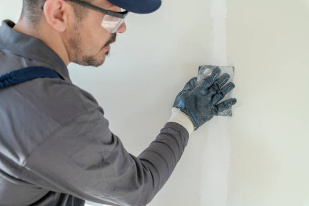 Mold Documentation for Insurance Claims in Hauser, ID