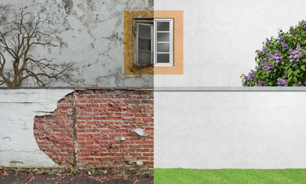 Best Mold Removal for HVAC Installations  in Hauser, ID